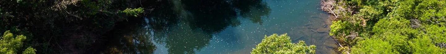 Image without alt